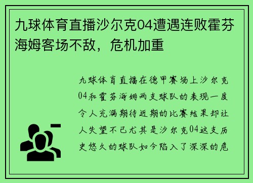 九球体育直播沙尔克04遭遇连败霍芬海姆客场不敌，危机加重